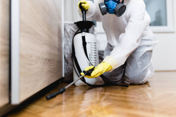 Pest Control for Restaurants in Hazlehurst, GA