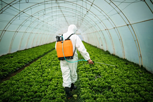Best Pest Inspection Near Me  in Hazlehurst, GA