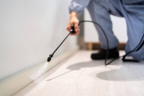 Best Residential Pest Control  in Hazlehurst, GA