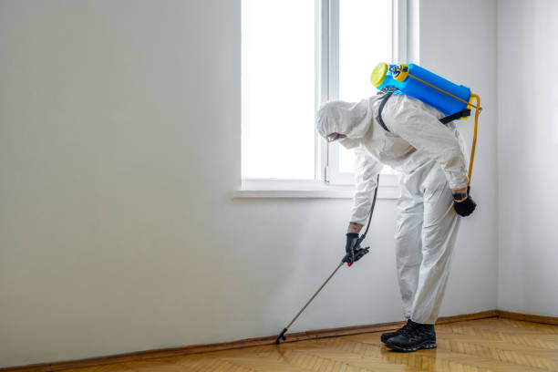 Best Pest Control for Restaurants  in Hazlehurst, GA