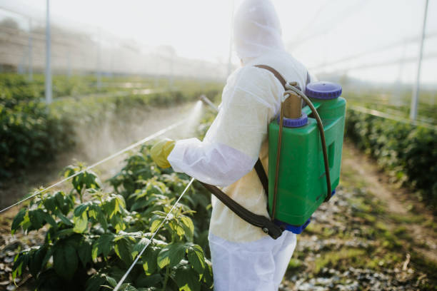 Best Best Pest Control Near Me  in Hazlehurst, GA